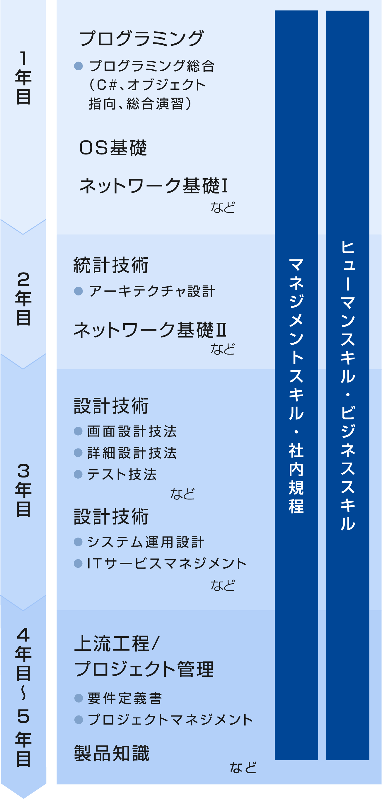 5年目までの研修内容